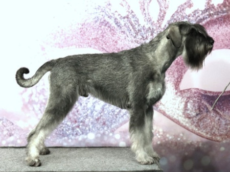 Secret of Ramses Kelador